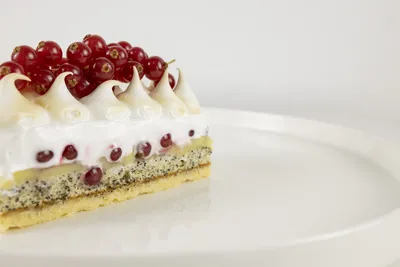 Mohn-Ribiselschaum-Schnitte